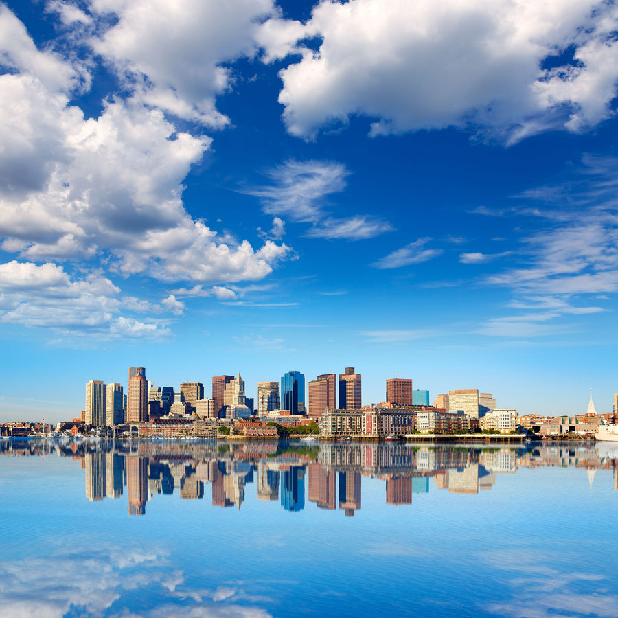 Boston Harbor Skyline Mural Wallpaper