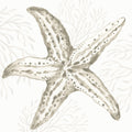 Coastal Reef III Mural Wallpaper - pure wallpaper artwork