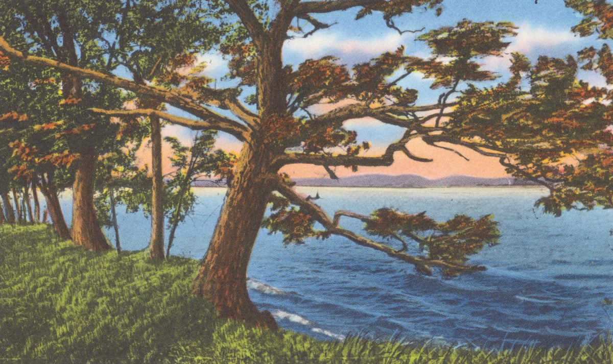 Shoreline Mural Wallpaper - Neutral Tone - pure wallpaper artwork