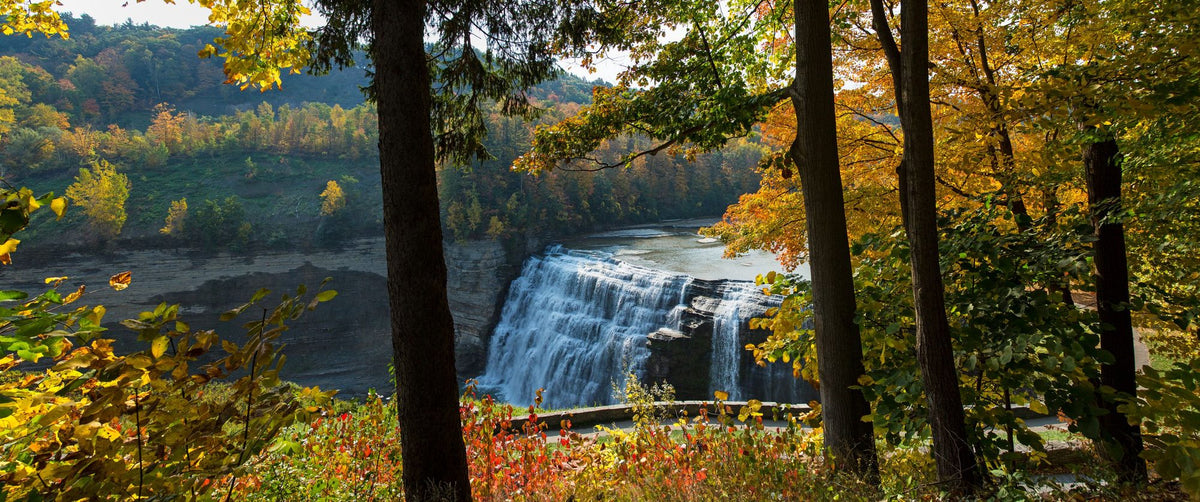 Middle Falls Mural Wallpaper - pure wallpaper artwork