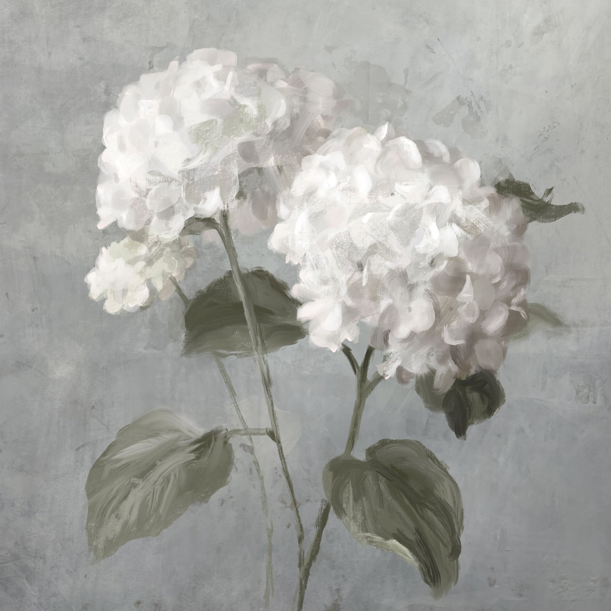 White Hydrangeas on Gray Mural Wallpaper - pure wallpaper artwork
