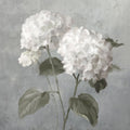 White Hydrangeas on Gray Mural Wallpaper - pure wallpaper artwork