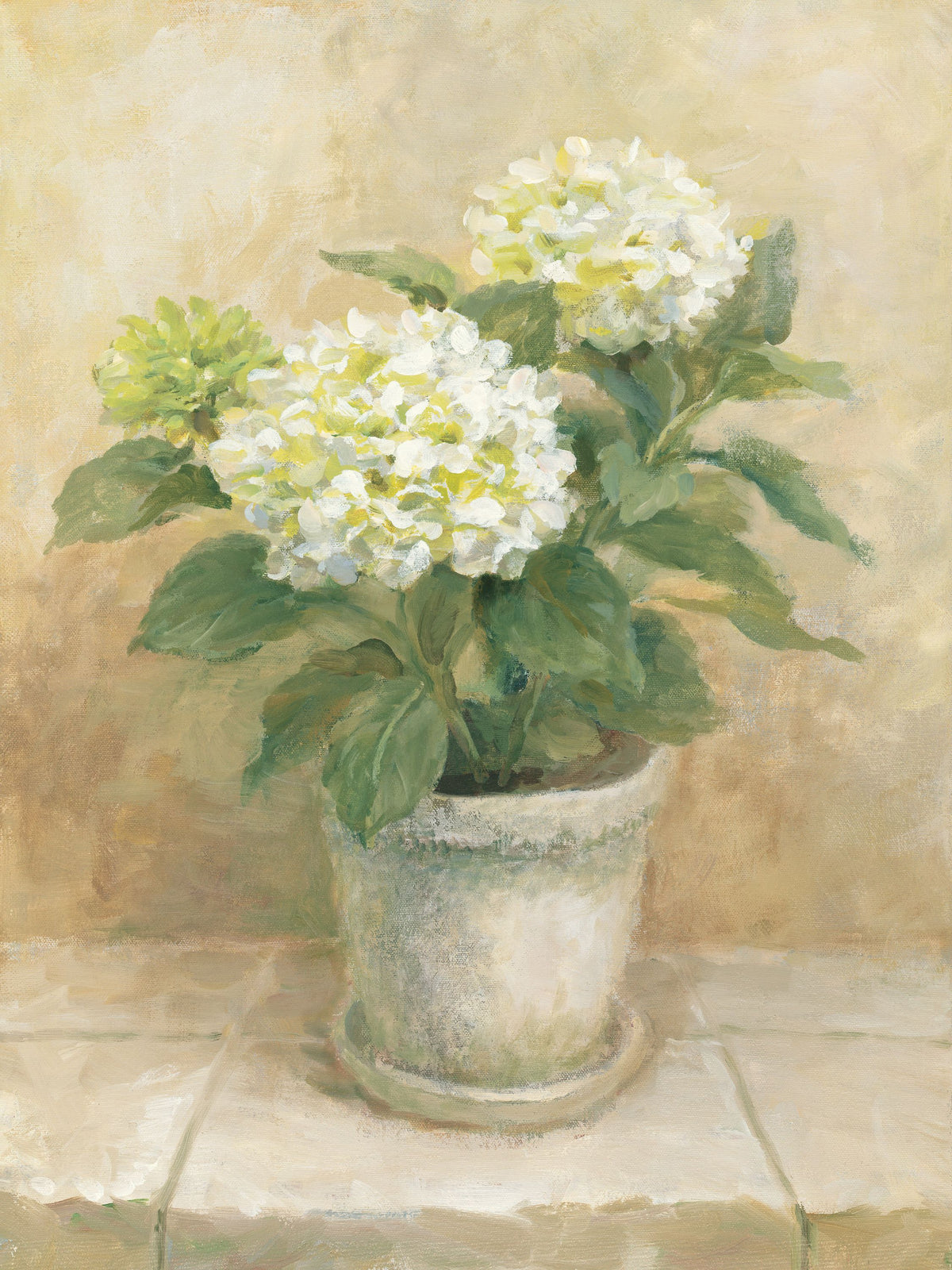 Pot of White Hydrangea Mural Wallpaper - pure wallpaper artwork