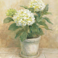 Pot of White Hydrangea Mural Wallpaper - pure wallpaper artwork