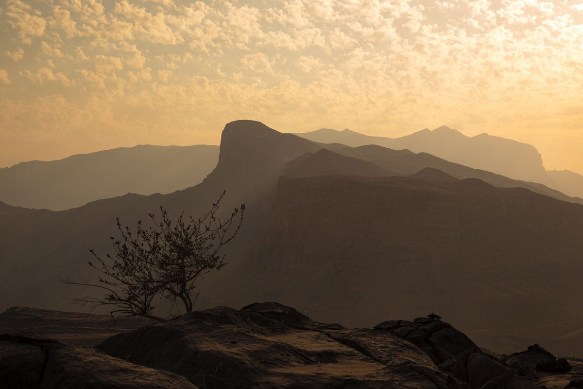 Desertscape Mural Wallpaper - pure wallpaper artwork