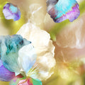 Sea Garden Mural Wallpaper - pure wallpaper artwork
