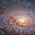 Galactic Sunflower Mural Wallpaper - pure wallpaper artwork