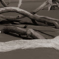 Georgia Driftwood Mural Wallpaper - pure wallpaper artwork