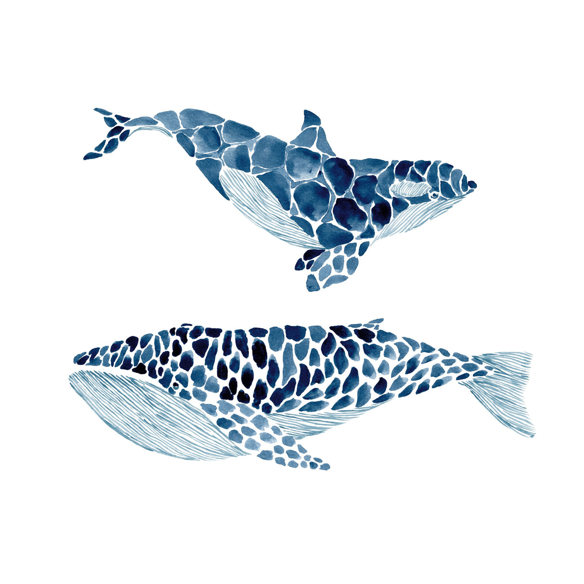 Two Whales Mural Wallpaper - pure wallpaper artwork