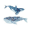 Two Whales Mural Wallpaper - pure wallpaper artwork
