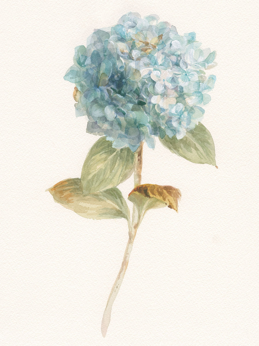 Garden Hydrangea Mural Wallpaper