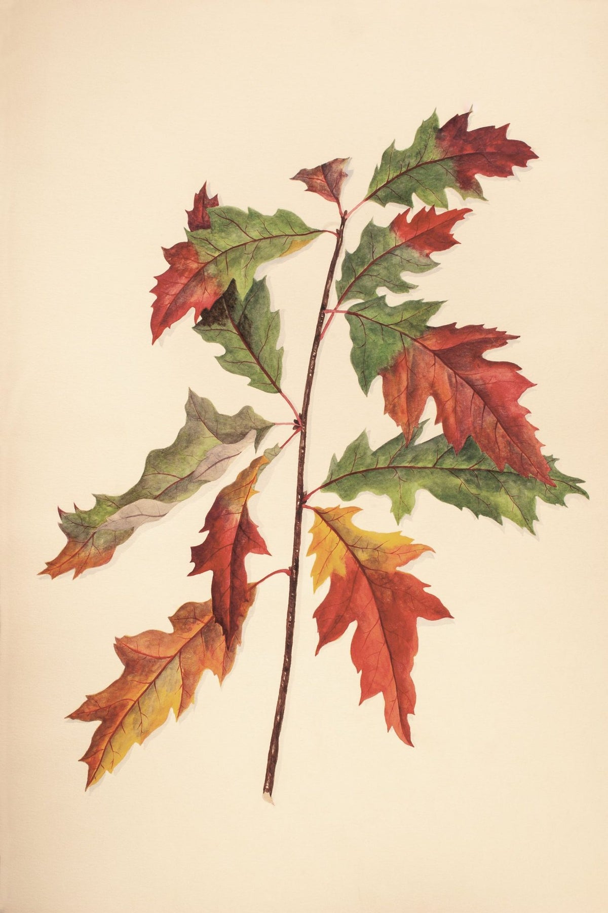 Fall Leaves I Muted Mural Wallpaper - pure wallpaper artwork