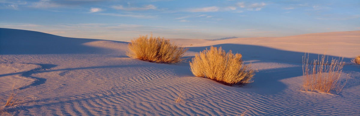 Golden Dune Shadows Mural Wallpaper - pure wallpaper artwork