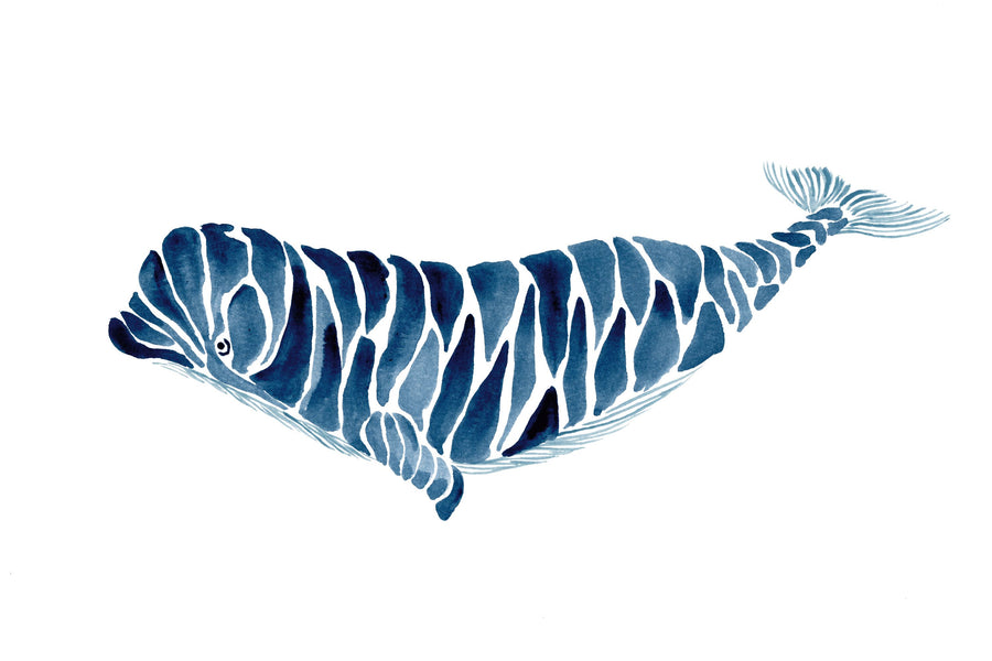 Beluga Whale Mural Wallpaper