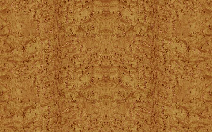 Burl Wood, Sun Mural Wallpaper