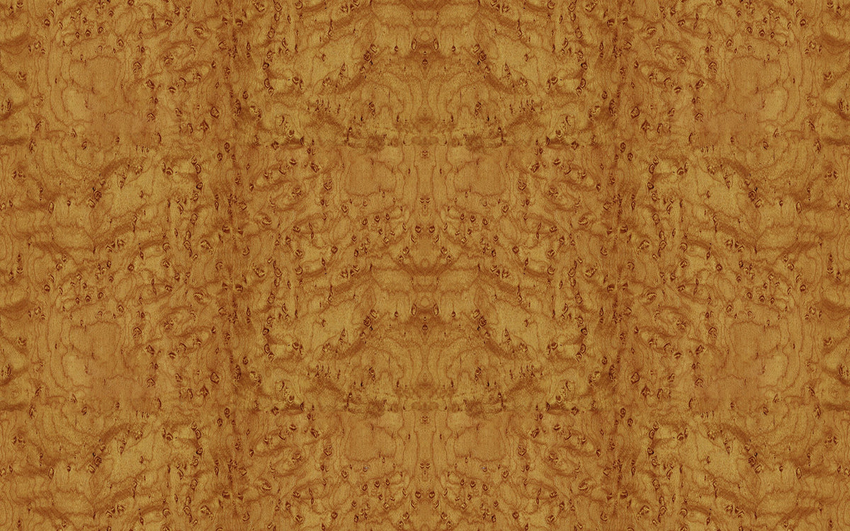 Burl Wood, Sun Mural Wallpaper - pure wallpaper artwork