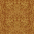 Burl Wood, Sun Mural Wallpaper - pure wallpaper artwork