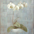 Elegant Orchid I Mural Wallpaper - pure wallpaper artwork