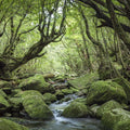 Follow the Stream Mural Wallpaper - pure wallpaper artwork