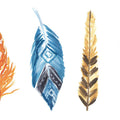 Rainbow Feathers II Mural Wallpaper - pure wallpaper artwork