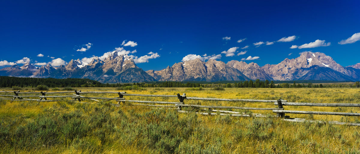 Grand Teton Range Field Mural Wallpaper - pure wallpaper artwork