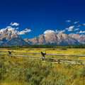Grand Teton Range Field Mural Wallpaper - pure wallpaper artwork
