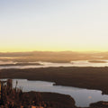 Golden Ascent Mural Wallpaper - pure wallpaper artwork