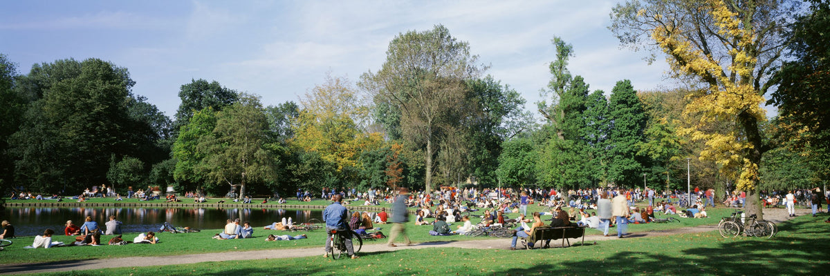 Summer Park Leisure Mural Wallpaper - pure wallpaper artwork