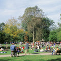 Summer Park Leisure Mural Wallpaper - pure wallpaper artwork