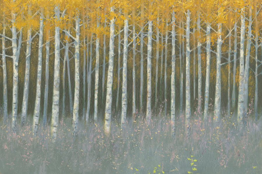 Birch Dusk Mural Wallpaper
