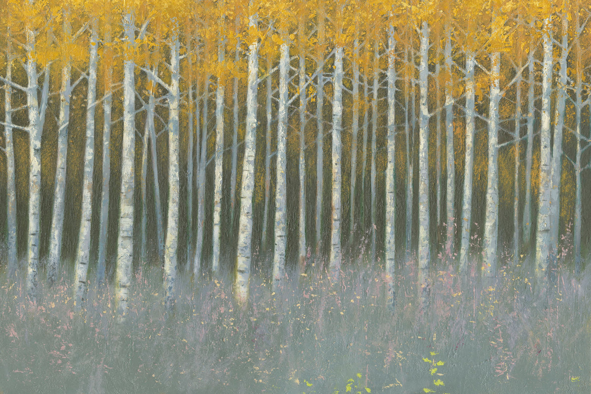Birch Dusk Mural Wallpaper - pure wallpaper artwork
