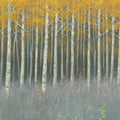 Birch Dusk Mural Wallpaper - pure wallpaper artwork