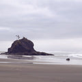 Misty Coastal Haven Mural Wallpaper - pure wallpaper artwork