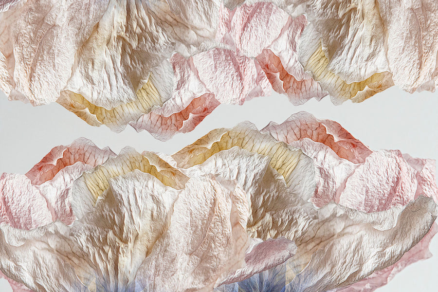 Kissing Flowers Mural Wallpaper