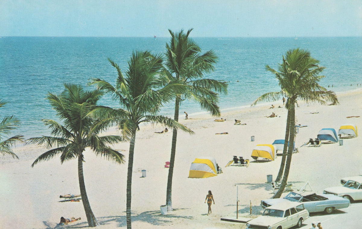 Greetings From Palm Beach Chill Mural Wallpaper - pure wallpaper artwork