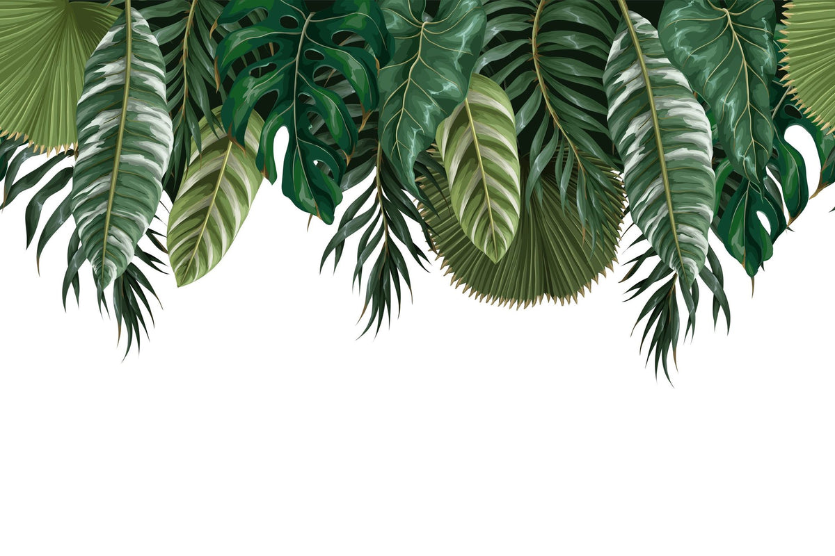 Monstera Cave Mural Wallpaper - pure wallpaper artwork