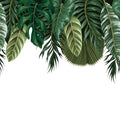 Monstera Cave Mural Wallpaper - pure wallpaper artwork