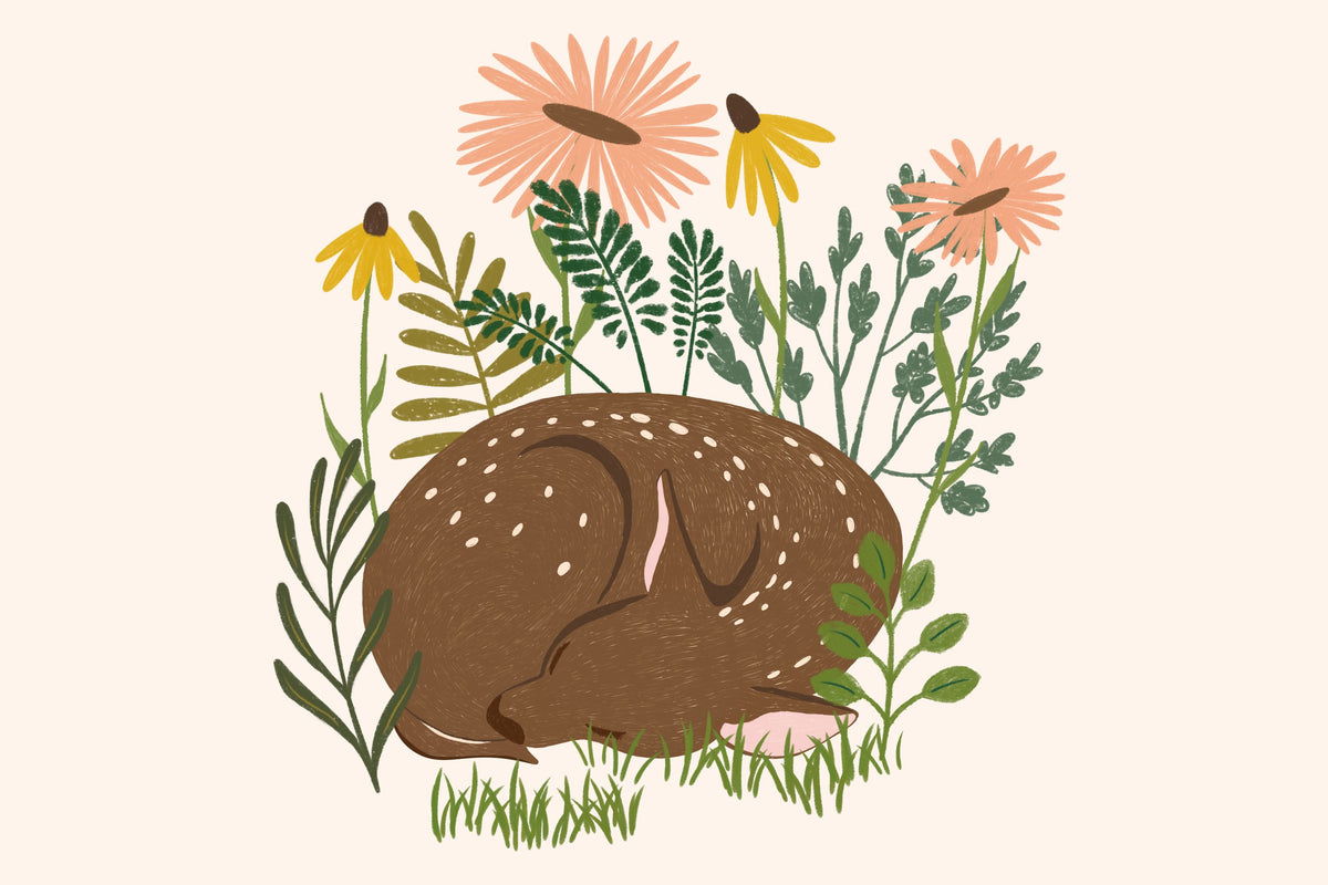 Sleeping Deer Mural Wallpaper - pure wallpaper artwork
