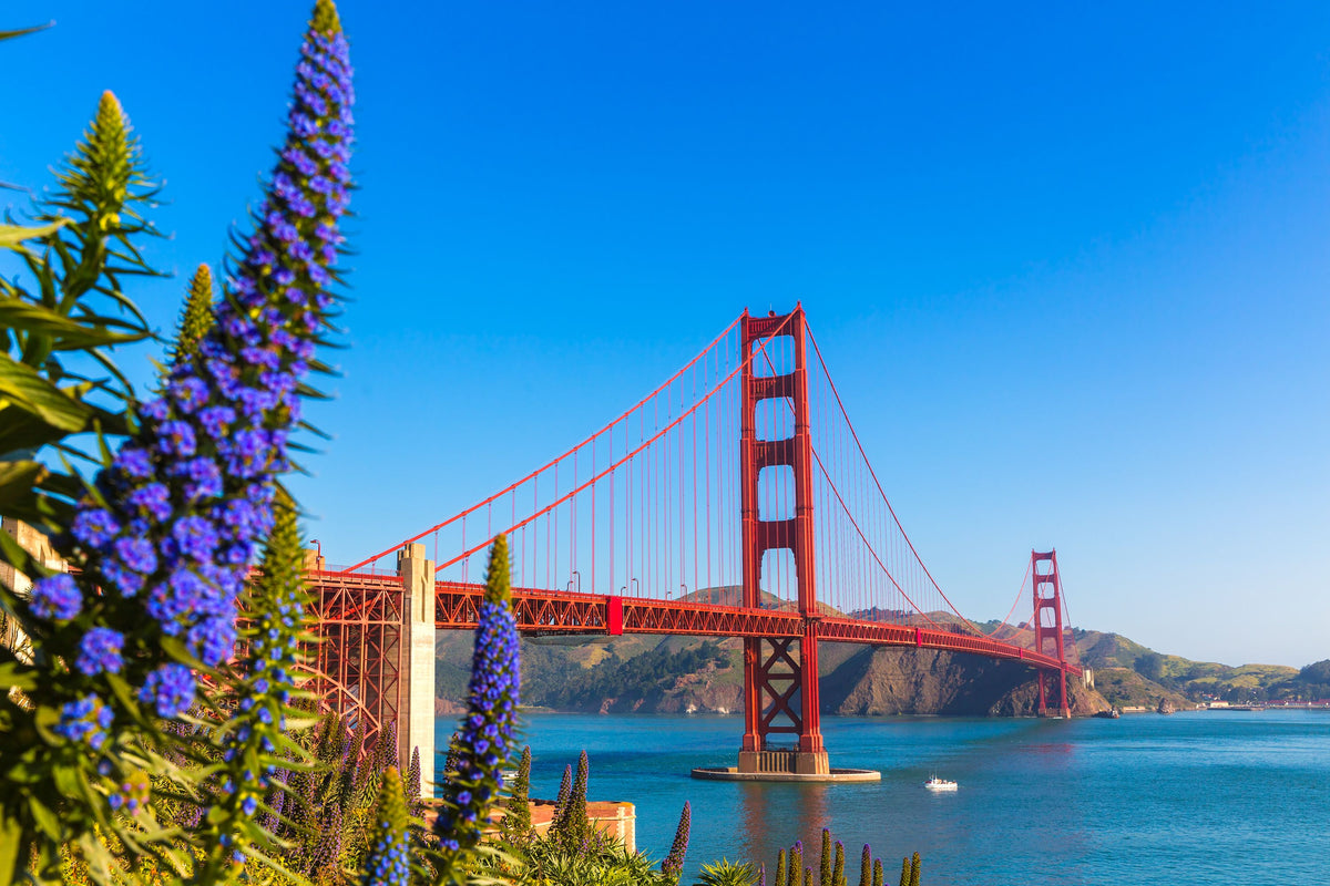 Floral Golden Gate Mural Wallpaper - pure wallpaper artwork