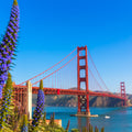 Floral Golden Gate Mural Wallpaper - pure wallpaper artwork