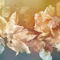 Birds Over Water Mural Wallpaper - pure wallpaper artwork