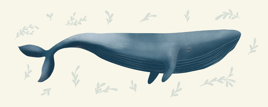 Ocean Life Whale Mural Wallpaper