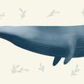 Ocean Life Whale Mural Wallpaper - pure wallpaper artwork