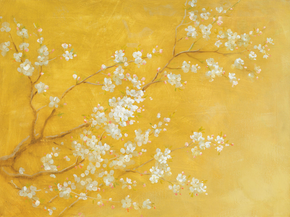 White Cherry Blossoms II Mural Wallpaper - pure wallpaper artwork