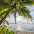 Island Serenity Mural Wallpaper - Warm Tone - pure wallpaper artwork