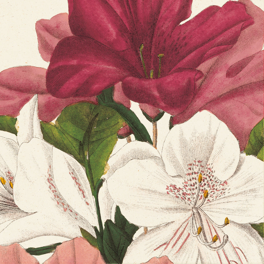 Botanique Square I Mural Wallpaper
