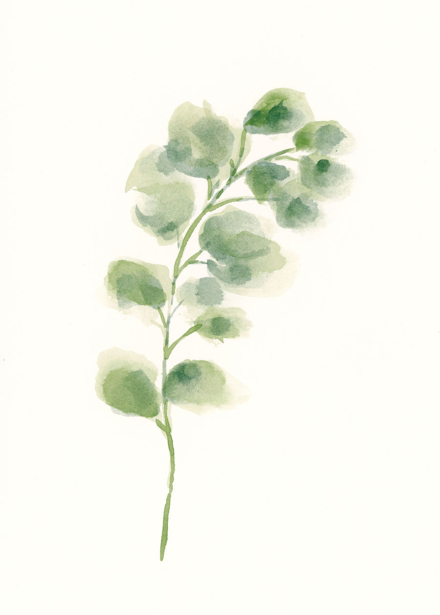 Eucalyptus I Mural Wallpaper