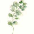 Eucalyptus I Mural Wallpaper - pure wallpaper artwork