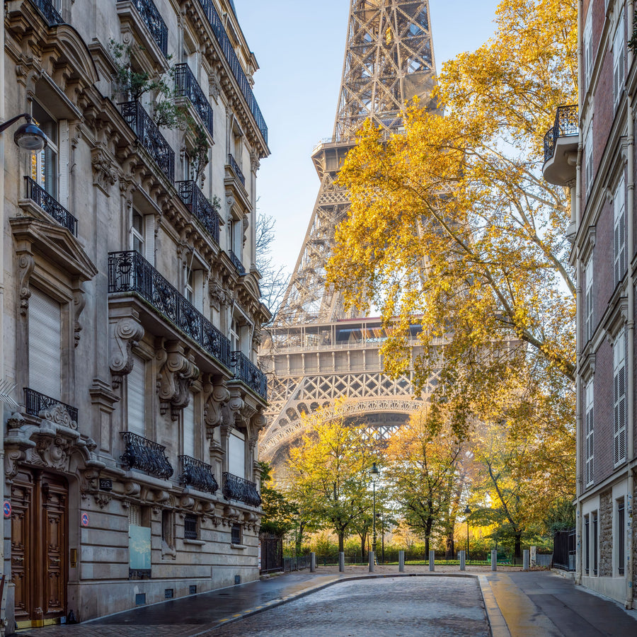 Paris Walks Mural Wallpaper