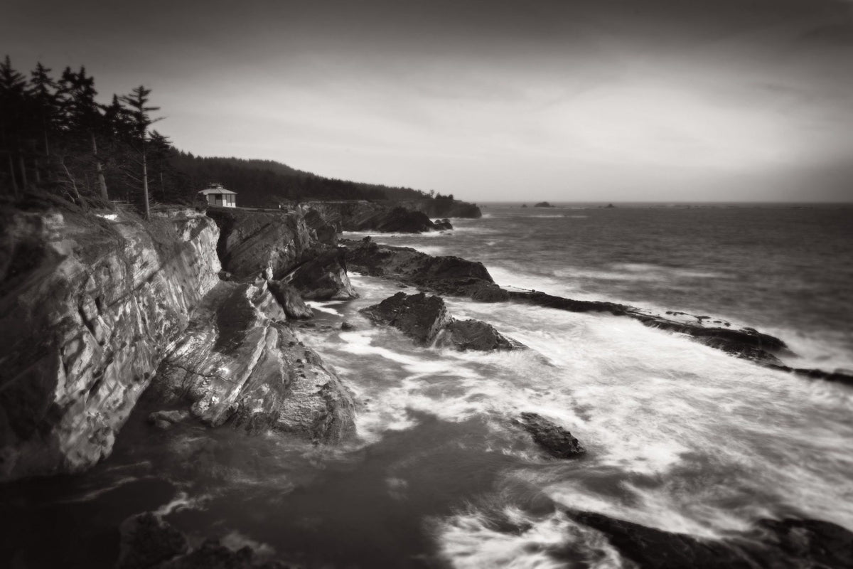 Shore Acres State Park Mural Wallpaper - pure wallpaper artwork